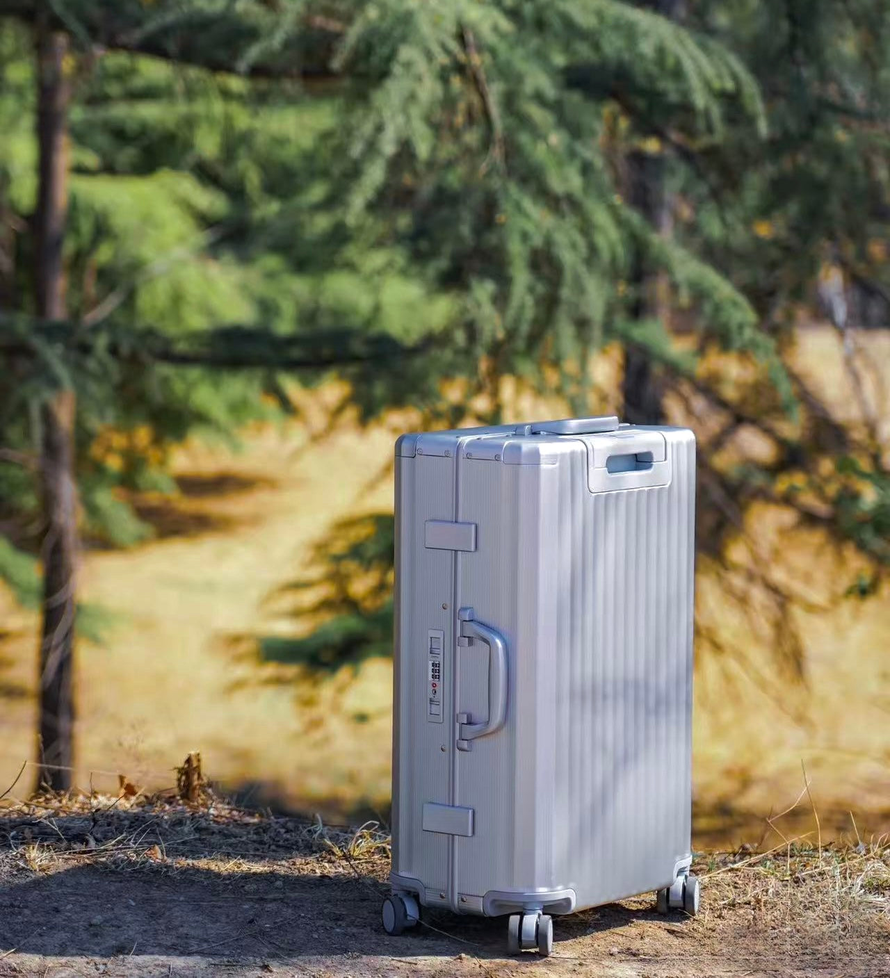 Frame Aluminum Suitcase Silver